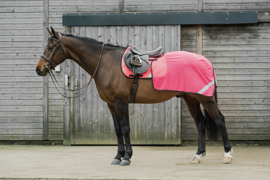 Dark Horse Airtex Mesh High Visibility Quarter Sheet - Flo Pink ...