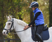 Dark Horse Padded Bodywarmer - Royal Blue