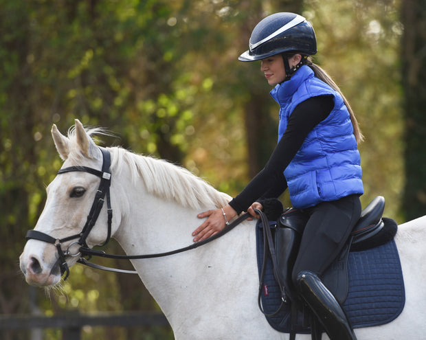 Dark Horse Padded Bodywarmer - Royal Blue