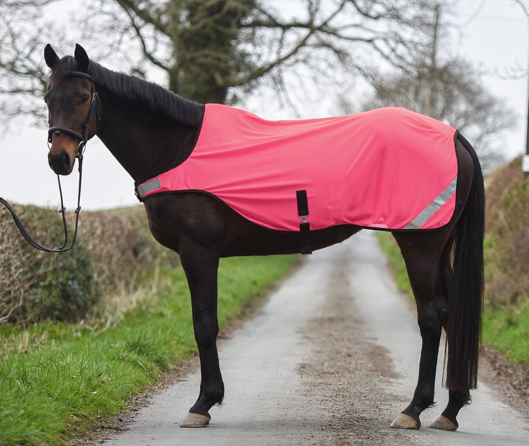 Dark Horse Airtex Mesh High Visibility Walker Rug - Flo Pink ...
