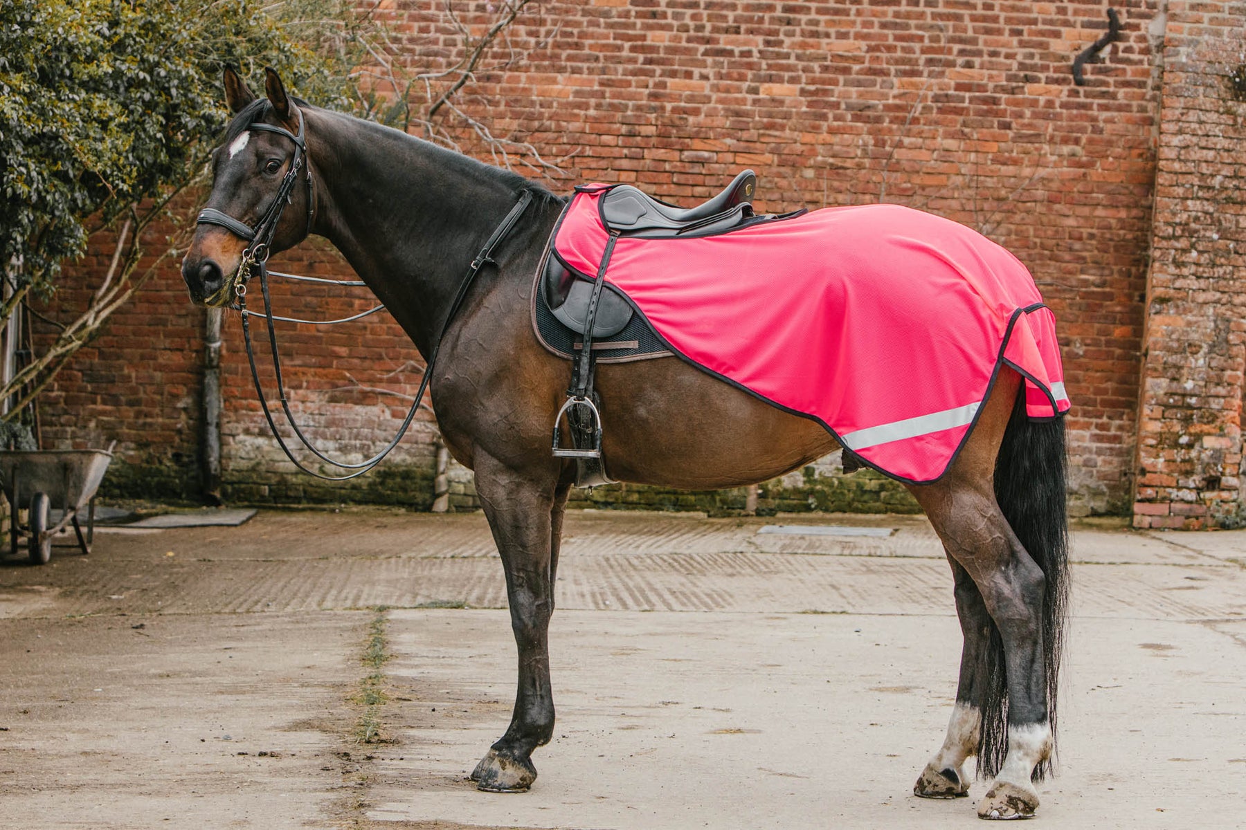 Dark Horse Airtex Mesh High Visibility Exercise Sheet - Flo Pink ...