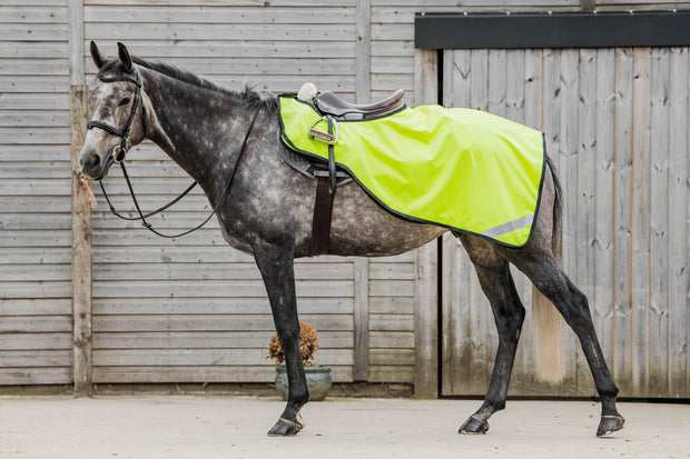 Dark Horse Waterproof with Fleece Exercise Sheet - Flo Yellow