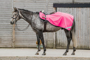Dark Horse Waterproof with Fleece Exercise Sheet - Flo Pink