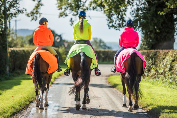 Dark Horse Neon Fleece Exercise Sheet - Yellow