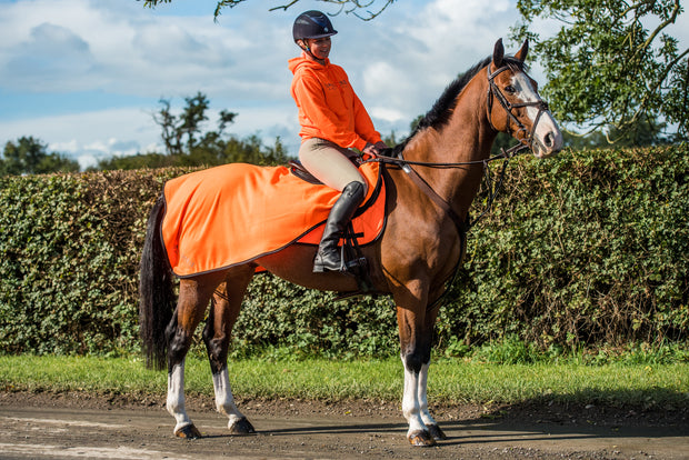 Dark Horse Neon Fleece Exercise Sheet - Orange