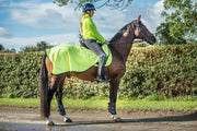 Dark Horse Neon Fleece Exercise Sheet - Yellow