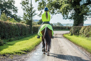 Dark Horse Neon Fleece Exercise Sheet - Yellow