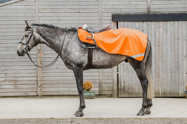 Dark Horse Waterproof with Fleece Exercise Sheet - Orange